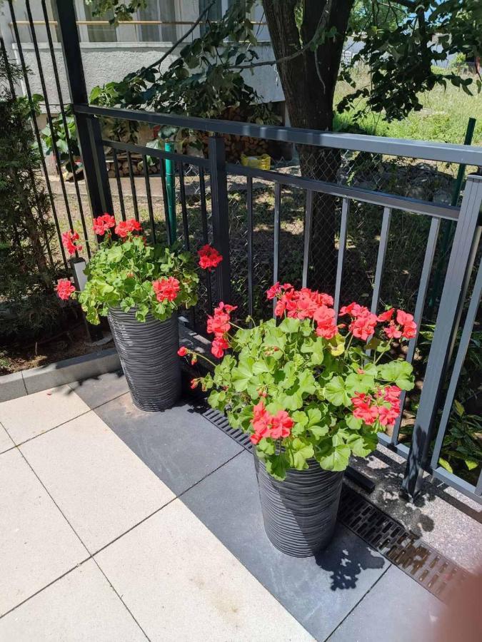 Apartament Kali Akhtopol Eksteriør bilde